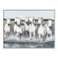 Picture of White Horses _GroupedProduct_Rectangle_Landscape_Photography _GroupedProduct_Rectangle_Landscape_Canvas_Framed_