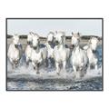 Picture of White Horses _GroupedProduct_Rectangle_Landscape_Photography _GroupedProduct_Rectangle_Landscape_Canvas_Framed_