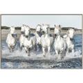 Picture of White Horses _GroupedProduct_Rectangle_Landscape_Photography _GroupedProduct_Rectangle_Landscape_Canvas_Framed_
