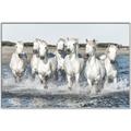 Picture of White Horses _GroupedProduct_Rectangle_Landscape_Photography _GroupedProduct_Rectangle_Landscape_Canvas_Framed_
