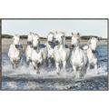 Picture of White Horses _GroupedProduct_Rectangle_Landscape_Photography _GroupedProduct_Rectangle_Landscape_Canvas_Framed_