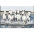 Picture of White Horses _GroupedProduct_Rectangle_Landscape_Photography _GroupedProduct_Rectangle_Landscape_Canvas_Framed_