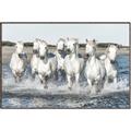 Picture of White Horses _GroupedProduct_Rectangle_Landscape_Photography _GroupedProduct_Rectangle_Landscape_Canvas_Framed_