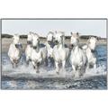 Picture of White Horses _GroupedProduct_Rectangle_Landscape_Photography _GroupedProduct_Rectangle_Landscape_Canvas_Framed_