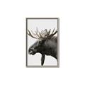Picture of Moose _GroupedProduct_Rectangle_Portrait_Photography _GroupedProduct_Rectangle_Portrait_Canvas_Framed_
