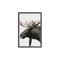 Picture of Moose _GroupedProduct_Rectangle_Portrait_Photography _GroupedProduct_Rectangle_Portrait_Canvas_Framed_