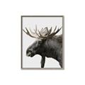 Picture of Moose _GroupedProduct_Rectangle_Portrait_Photography _GroupedProduct_Rectangle_Portrait_Canvas_Framed_