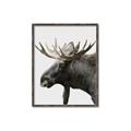 Picture of Moose _GroupedProduct_Rectangle_Portrait_Photography _GroupedProduct_Rectangle_Portrait_Canvas_Framed_