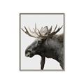Picture of Moose _GroupedProduct_Rectangle_Portrait_Photography _GroupedProduct_Rectangle_Portrait_Canvas_Framed_