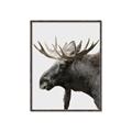 Picture of Moose _GroupedProduct_Rectangle_Portrait_Photography _GroupedProduct_Rectangle_Portrait_Canvas_Framed_
