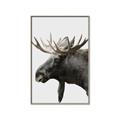Picture of Moose _GroupedProduct_Rectangle_Portrait_Photography _GroupedProduct_Rectangle_Portrait_Canvas_Framed_
