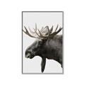 Picture of Moose _GroupedProduct_Rectangle_Portrait_Photography _GroupedProduct_Rectangle_Portrait_Canvas_Framed_