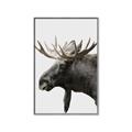 Picture of Moose _GroupedProduct_Rectangle_Portrait_Photography _GroupedProduct_Rectangle_Portrait_Canvas_Framed_