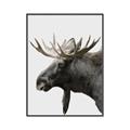 Picture of Moose _GroupedProduct_Rectangle_Portrait_Photography _GroupedProduct_Rectangle_Portrait_Canvas_Framed_