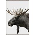 Picture of Moose _GroupedProduct_Rectangle_Portrait_Photography _GroupedProduct_Rectangle_Portrait_Canvas_Framed_