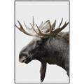 Picture of Moose _GroupedProduct_Rectangle_Portrait_Photography _GroupedProduct_Rectangle_Portrait_Canvas_Framed_