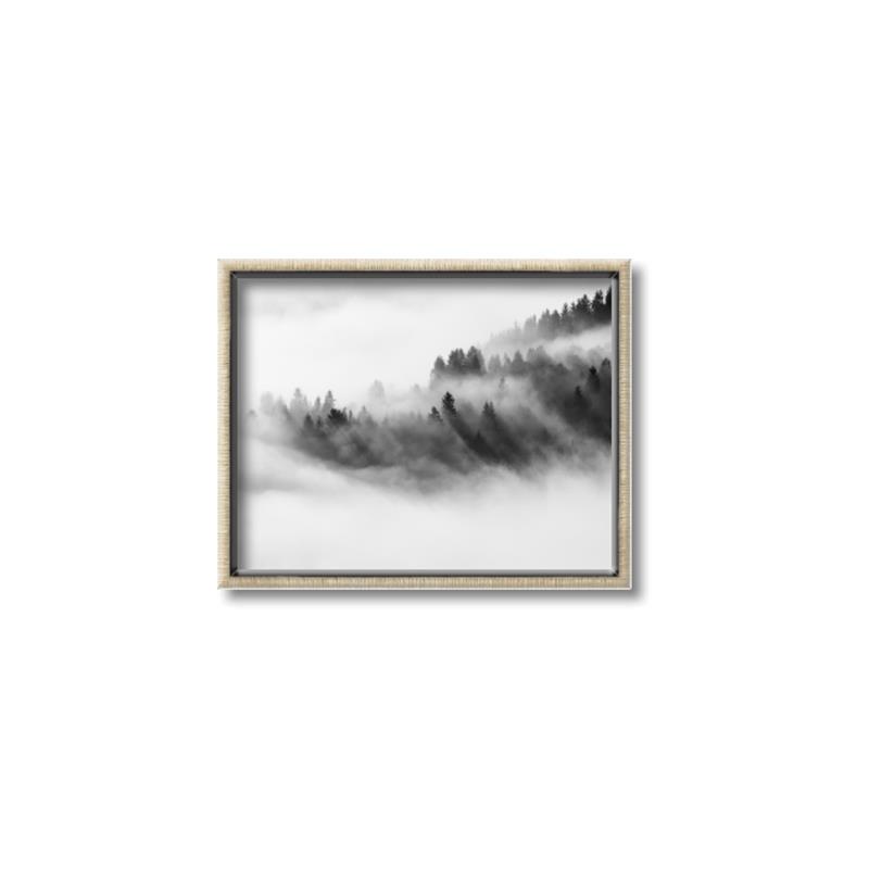 Picture of Mystic foggy forest _GroupedProduct_Rectangle_Landscape_Photography _GroupedProduct_Rectangle_Landscape_Canvas_Framed_