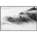 Picture of Mystic foggy forest _GroupedProduct_Rectangle_Landscape_Photography _GroupedProduct_Rectangle_Landscape_Canvas_Framed_