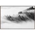 Picture of Mystic foggy forest _GroupedProduct_Rectangle_Landscape_Photography _GroupedProduct_Rectangle_Landscape_Canvas_Framed_