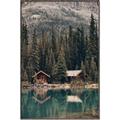 Picture of Cottage Bliss _GroupedProduct_Rectangle_Portrait_Photography _GroupedProduct_Rectangle_Portrait_Canvas_Framed_
