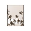 Picture of Palm Goddess _GroupedProduct_Rectangle_Portrait_Photography _GroupedProduct_Rectangle_Portrait_Canvas_Framed_