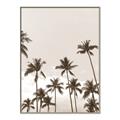 Picture of Palm Goddess _GroupedProduct_Rectangle_Portrait_Photography _GroupedProduct_Rectangle_Portrait_Canvas_Framed_