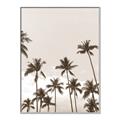 Picture of Palm Goddess _GroupedProduct_Rectangle_Portrait_Photography _GroupedProduct_Rectangle_Portrait_Canvas_Framed_