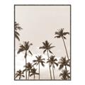 Picture of Palm Goddess _GroupedProduct_Rectangle_Portrait_Photography _GroupedProduct_Rectangle_Portrait_Canvas_Framed_