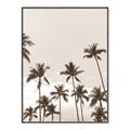 Picture of Palm Goddess _GroupedProduct_Rectangle_Portrait_Photography _GroupedProduct_Rectangle_Portrait_Canvas_Framed_