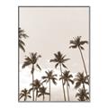 Picture of Palm Goddess _GroupedProduct_Rectangle_Portrait_Photography _GroupedProduct_Rectangle_Portrait_Canvas_Framed_