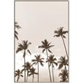 Picture of Palm Goddess _GroupedProduct_Rectangle_Portrait_Photography _GroupedProduct_Rectangle_Portrait_Canvas_Framed_