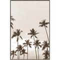 Picture of Palm Goddess _GroupedProduct_Rectangle_Portrait_Photography _GroupedProduct_Rectangle_Portrait_Canvas_Framed_