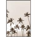 Picture of Palm Goddess _GroupedProduct_Rectangle_Portrait_Photography _GroupedProduct_Rectangle_Portrait_Canvas_Framed_