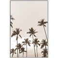 Picture of Palm Goddess _GroupedProduct_Rectangle_Portrait_Photography _GroupedProduct_Rectangle_Portrait_Canvas_Framed_