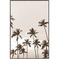 Picture of Palm Goddess _GroupedProduct_Rectangle_Portrait_Photography _GroupedProduct_Rectangle_Portrait_Canvas_Framed_