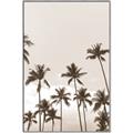 Picture of Palm Goddess _GroupedProduct_Rectangle_Portrait_Photography _GroupedProduct_Rectangle_Portrait_Canvas_Framed_