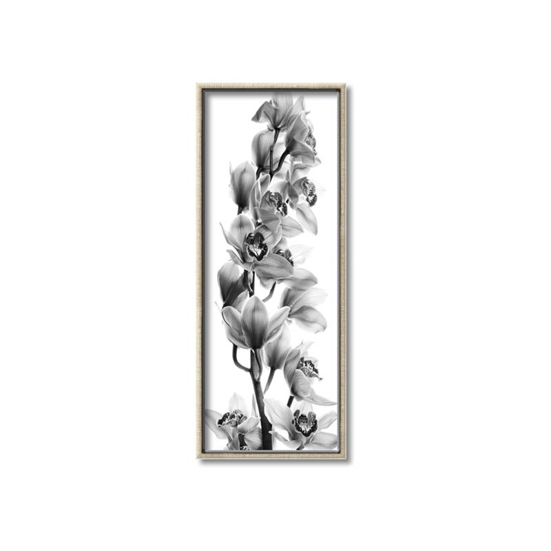Picture of Orchid Flowers II  _GroupedProduct_Panel_Portrait_Photography _GroupedProduct_Panel_Portrait_Canvas_Framed_