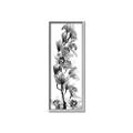 Picture of Orchid Flowers II  _GroupedProduct_Panel_Portrait_Photography _GroupedProduct_Panel_Portrait_Canvas_Framed_