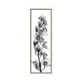Picture of Orchid Flowers II  _GroupedProduct_Panel_Portrait_Photography _GroupedProduct_Panel_Portrait_Canvas_Framed_