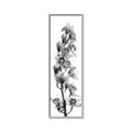 Picture of Orchid Flowers II  _GroupedProduct_Panel_Portrait_Photography _GroupedProduct_Panel_Portrait_Canvas_Framed_