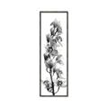 Picture of Orchid Flowers II  _GroupedProduct_Panel_Portrait_Photography _GroupedProduct_Panel_Portrait_Canvas_Framed_