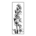Picture of Orchid Flowers II  _GroupedProduct_Panel_Portrait_Photography _GroupedProduct_Panel_Portrait_Canvas_Framed_