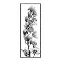 Picture of Orchid Flowers II  _GroupedProduct_Panel_Portrait_Photography _GroupedProduct_Panel_Portrait_Canvas_Framed_