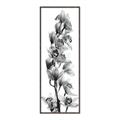 Picture of Orchid Flowers II  _GroupedProduct_Panel_Portrait_Photography _GroupedProduct_Panel_Portrait_Canvas_Framed_