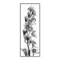 Picture of Orchid Flowers II  _GroupedProduct_Panel_Portrait_Photography _GroupedProduct_Panel_Portrait_Canvas_Framed_