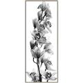 Picture of Orchid Flowers II  _GroupedProduct_Panel_Portrait_Photography _GroupedProduct_Panel_Portrait_Canvas_Framed_