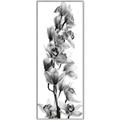 Picture of Orchid Flowers II  _GroupedProduct_Panel_Portrait_Photography _GroupedProduct_Panel_Portrait_Canvas_Framed_