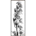 Picture of Orchid Flowers II  _GroupedProduct_Panel_Portrait_Photography _GroupedProduct_Panel_Portrait_Canvas_Framed_