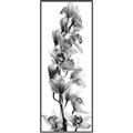 Picture of Orchid Flowers II  _GroupedProduct_Panel_Portrait_Photography _GroupedProduct_Panel_Portrait_Canvas_Framed_