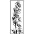 Picture of Orchid Flowers II  _GroupedProduct_Panel_Portrait_Photography _GroupedProduct_Panel_Portrait_Canvas_Framed_